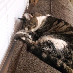 Meet your Posher, Jacob